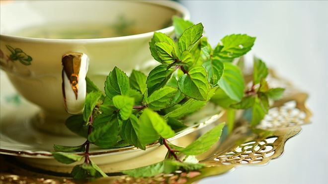 Mevsim hastalıklarından korunmak için bitki çayı tarifi