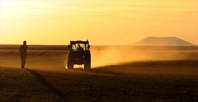 Çiftçiye destek artıyor: 16,1 milyar liraya çıkarılacak