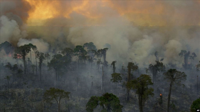 Fransa ve Brezilya Arasında Amazon Orman Yangını Gerginliği