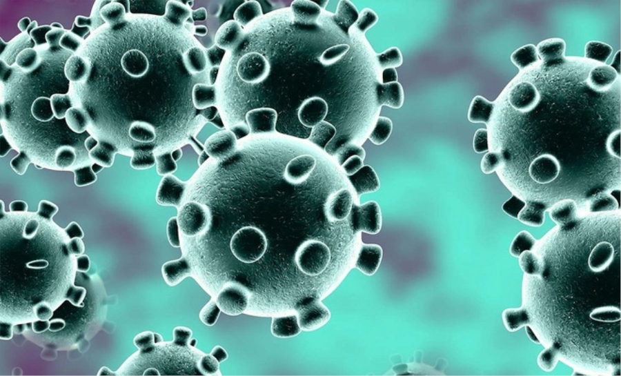 Koronavirüsü ve İslam Dünyası