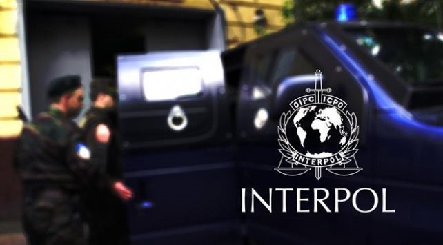 Interpol Türkiye