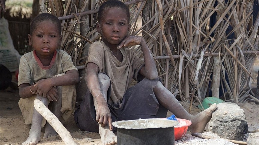 Kenya’da çekirge istilası.. 2,1 milyon kişi açlık riskiyle karşı karşıya