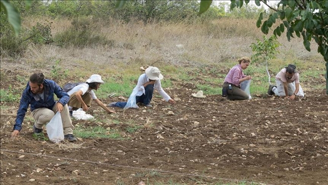 MANYAS GÖLÜ YAKINLARINDA HEYECANLANDIRAN KAZI