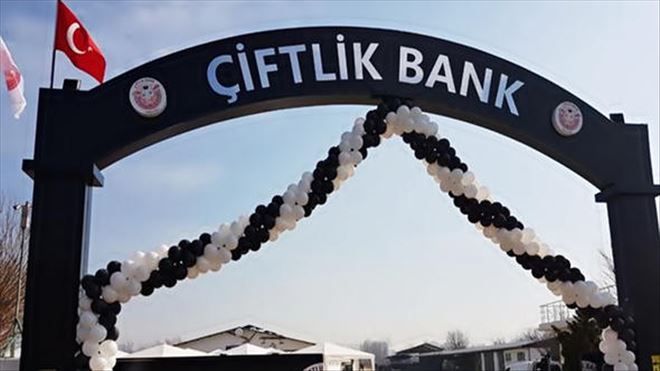 BAKAN´DAN CANLI YAYINDA ÇİFTLİKBANK AÇIKLAMASI! 