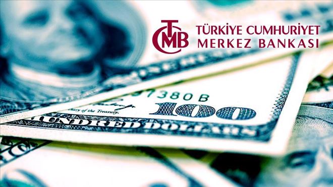 MERKEZ BANKASINDAN YENİ DÖVİZ HAMLESİ