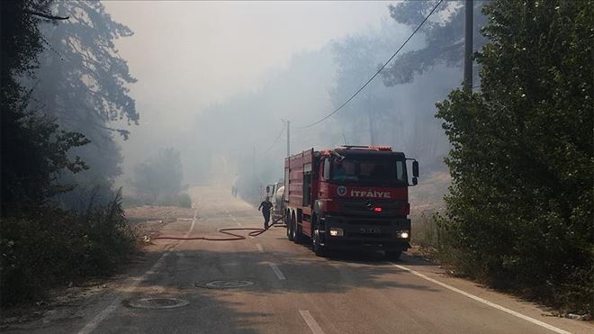 Bursa´da orman yangını